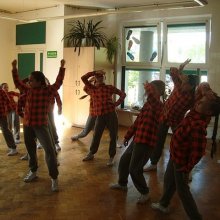kr2016cats_www_06