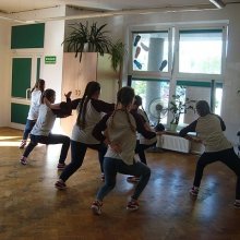kr2016cats_www_07