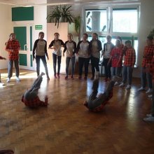 kr2016cats_www_13