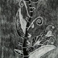 zd67